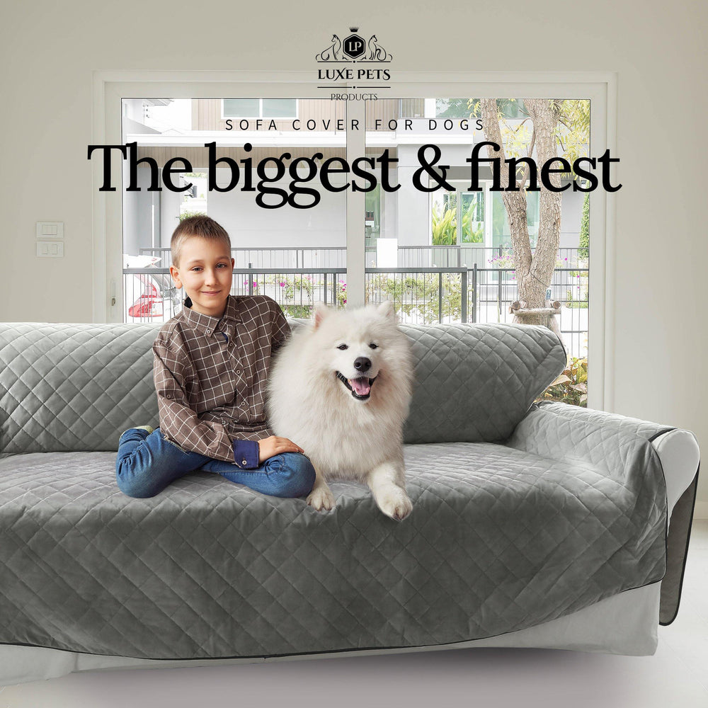 
                  
                    Premium Sofa Cover for Dogs Cats 3 or 4 Seat Furniture Cover - Modern Grey - Luxe Pets Products
                  
                
