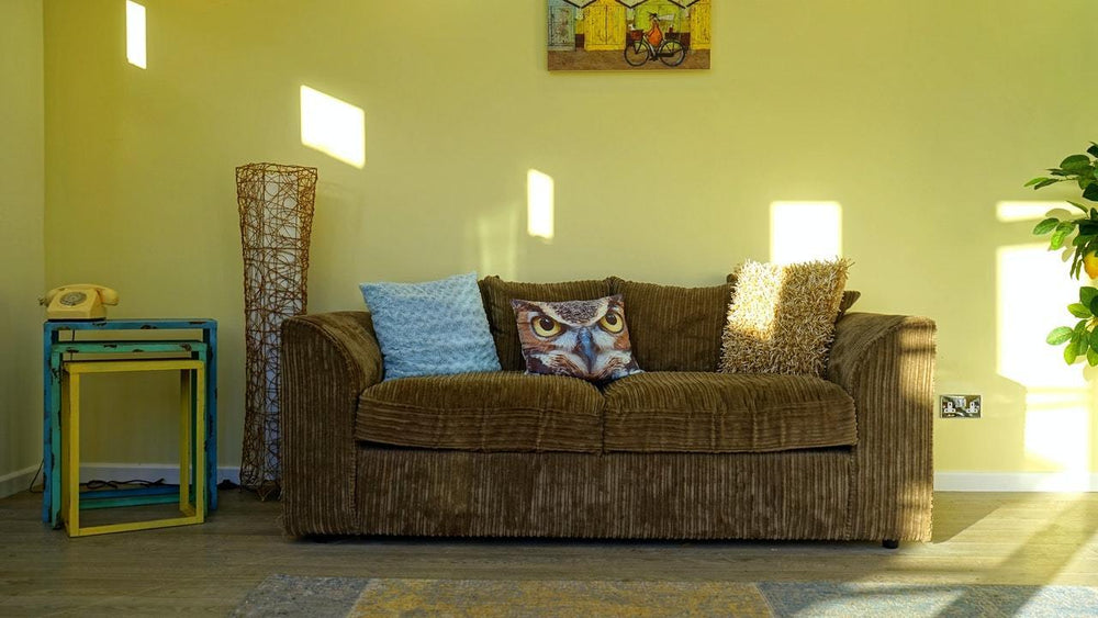How to Keep Your Sofa in Pristine Condition - Luxe Pets Products