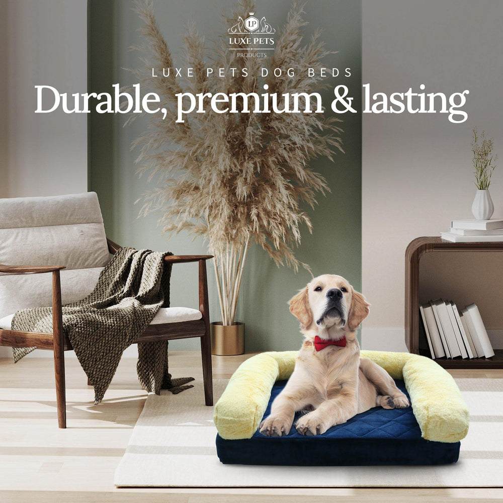 
                  
                    Pet Bed Memory Foam Luxurious Velvet, Faux Fur - Large, Blue Gold - Luxe Pets Products
                  
                