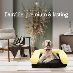 
                  
                    Load image into Gallery viewer, Pet Bed Memory Foam Luxurious Velvet, Faux Fur - Large, Black Gold - Luxe Pets Products
                  
                