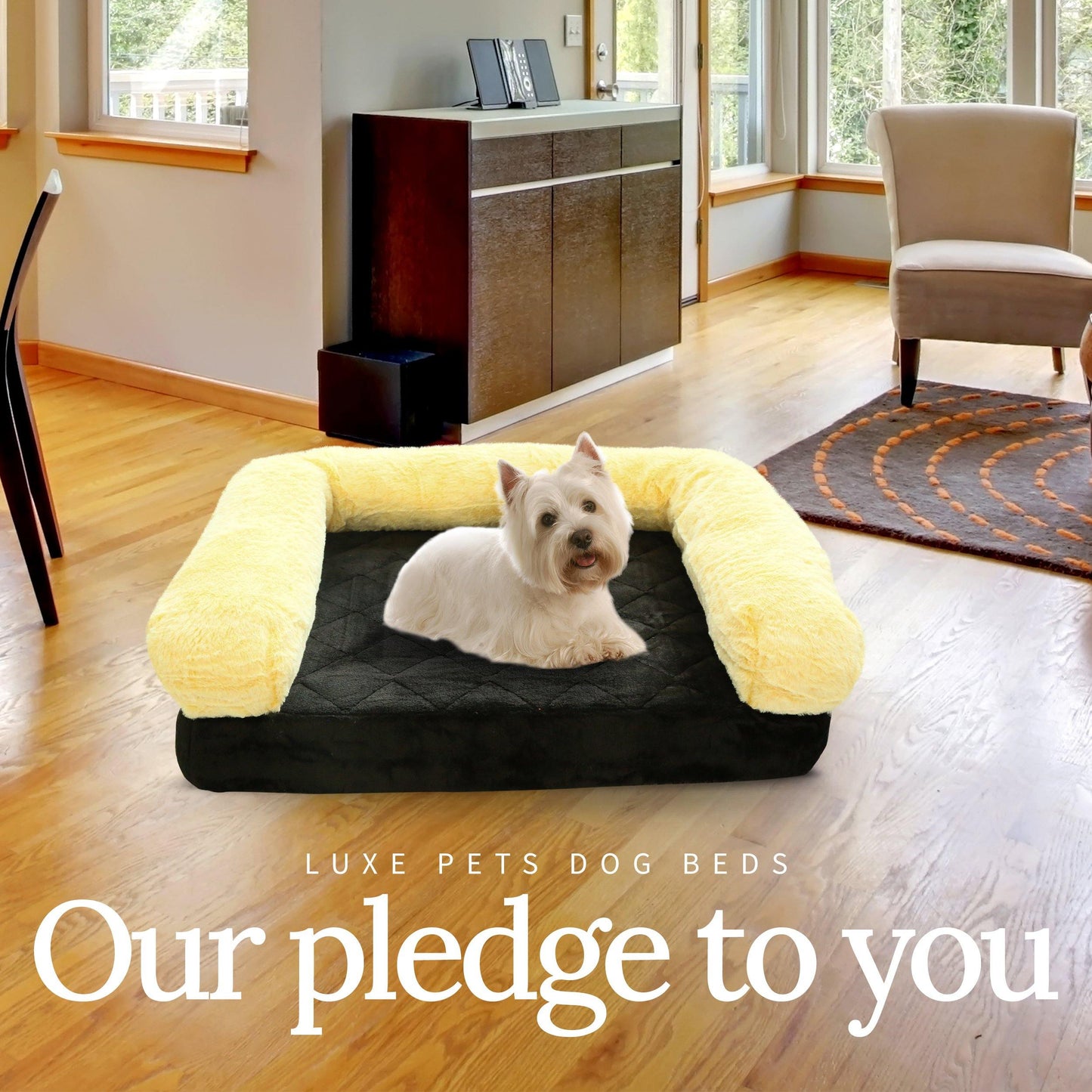 
                  
                    Pet Bed Memory Foam Luxurious Velvet, Faux Fur - Large, Black Gold - Luxe Pets Products
                  
                